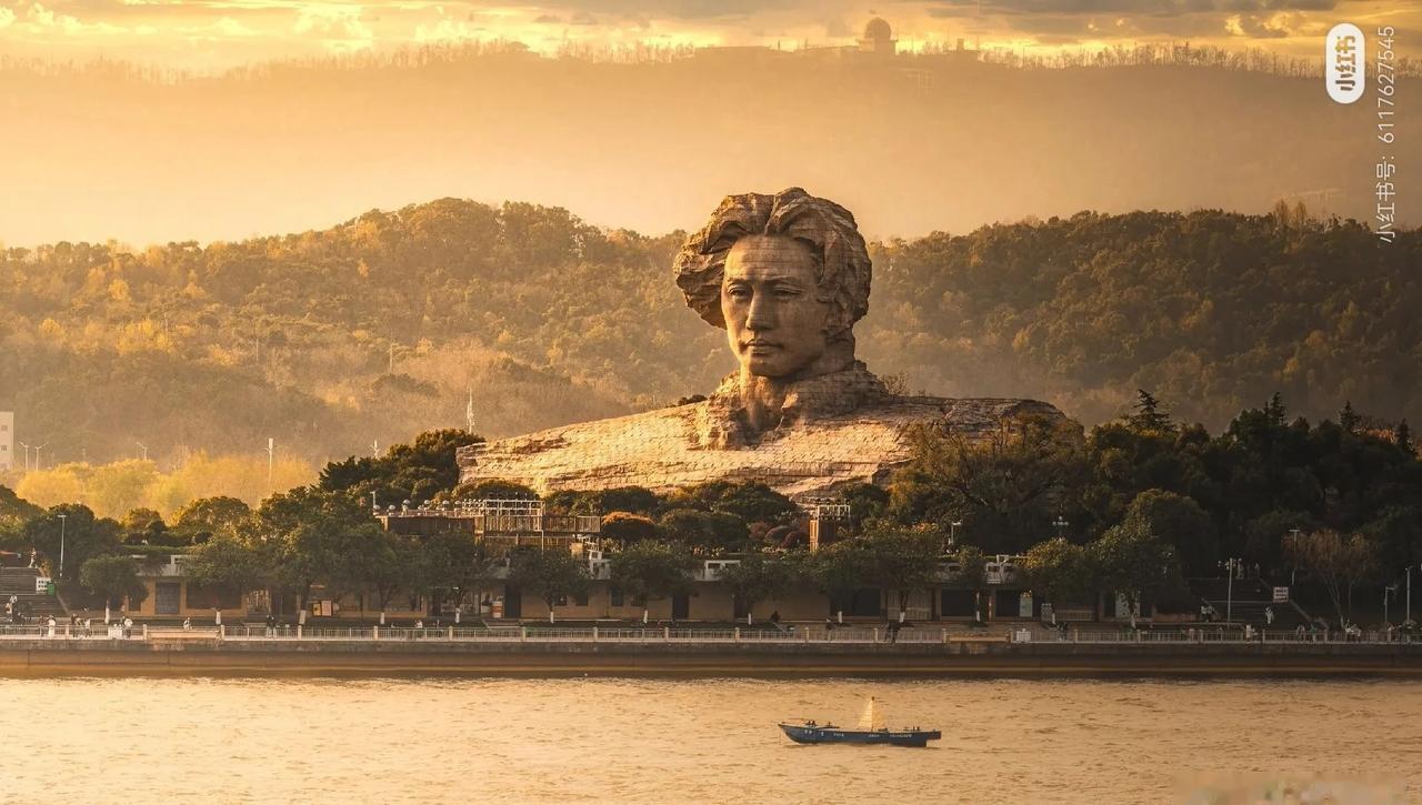 真好啊。作者见右上。​​​