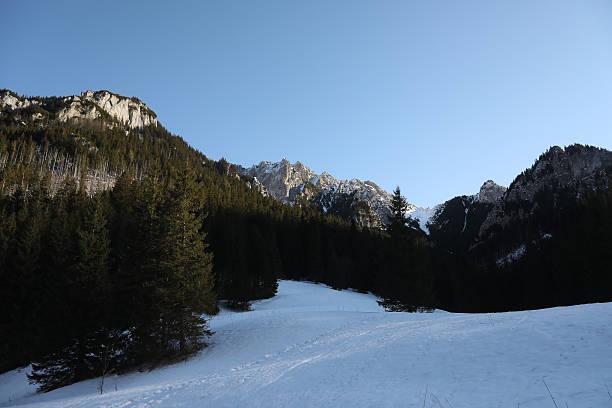 一位单身的女网友说：亲戚为什么拼命催你结婚？真相可能比“为你好”更现实。很多