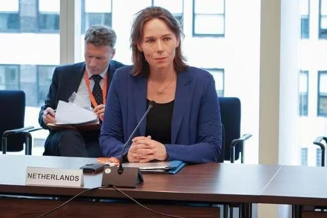 荷兰:派员来华磋商，早日结束安世之争，但不会处理涉事官员！11月9日，香港《