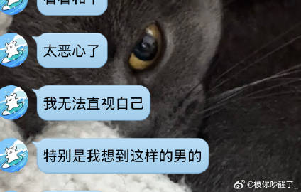 哈哈哈哈哈？我要去嘲笑了