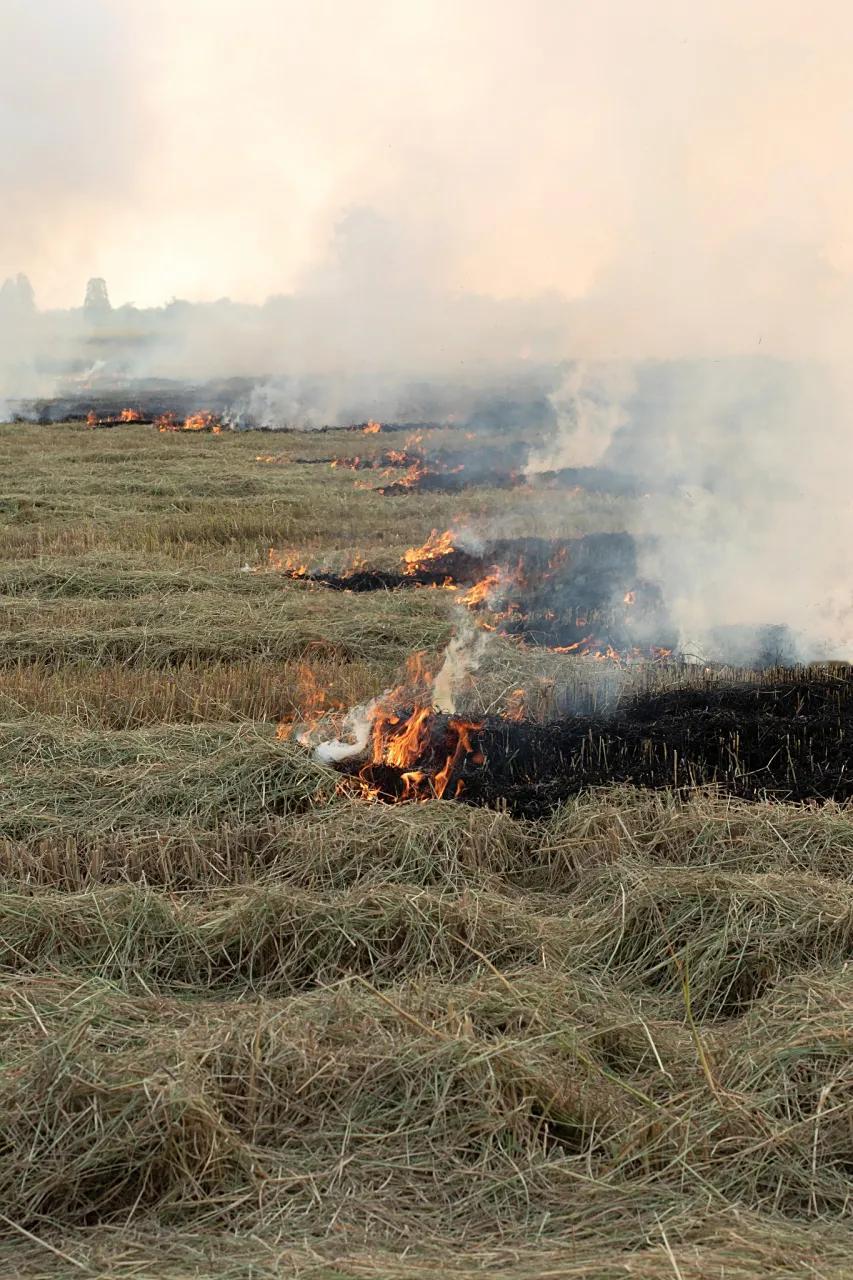 放火成瘾被判刑！12月8日，苏州工业区人民法院发布一例案件，苏州一男子陈某放火