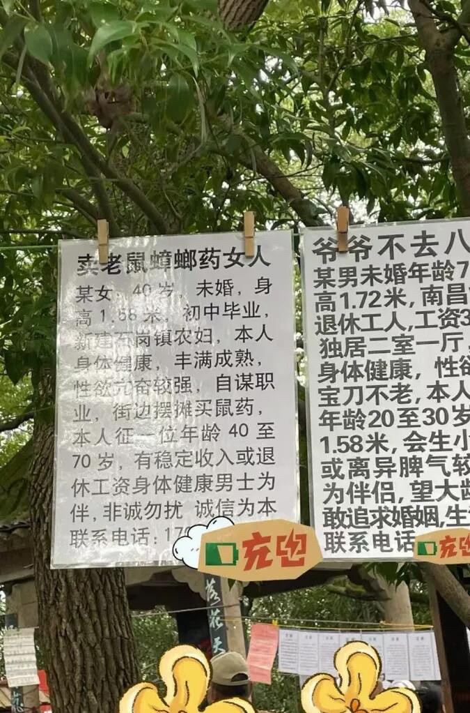 实拍南昌相亲树，每一张征婚纸都写满真实​​​
