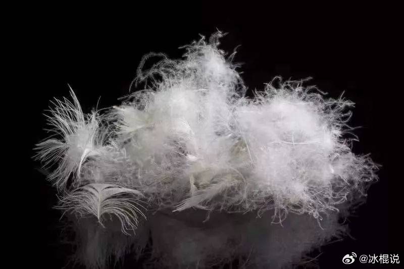 现在涨价跟以前涨价不一样的就是涨价前通知你一声涨价了还是涨价狂潮每年卖羽绒服前都