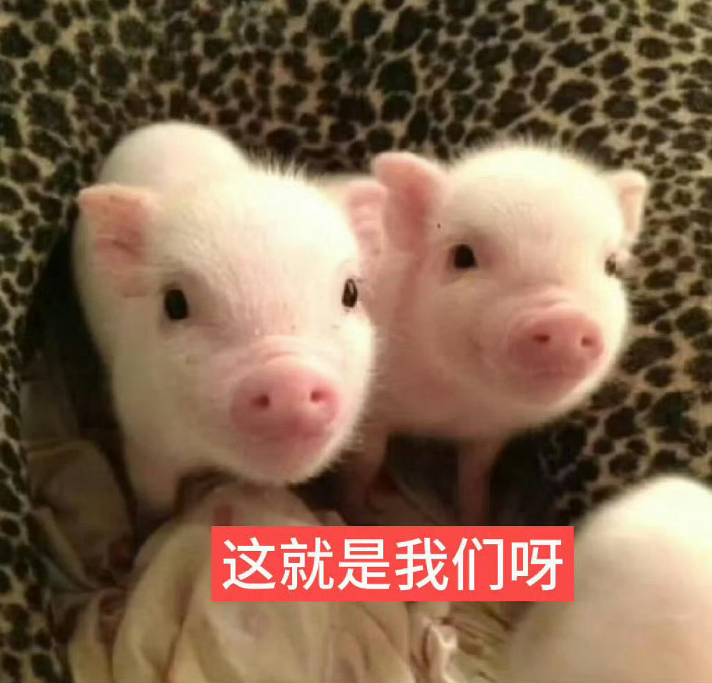 带着几个鸟人🈷️🈷️此人差tie红❌hdl此人❌hdl这个要主动续?