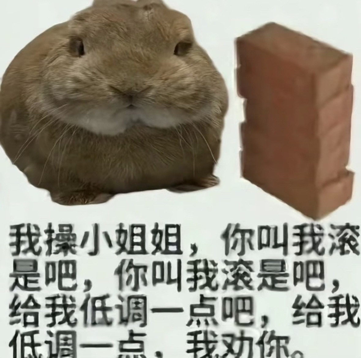 我差不多就是这么懒的人日记写了半个月又封笔了