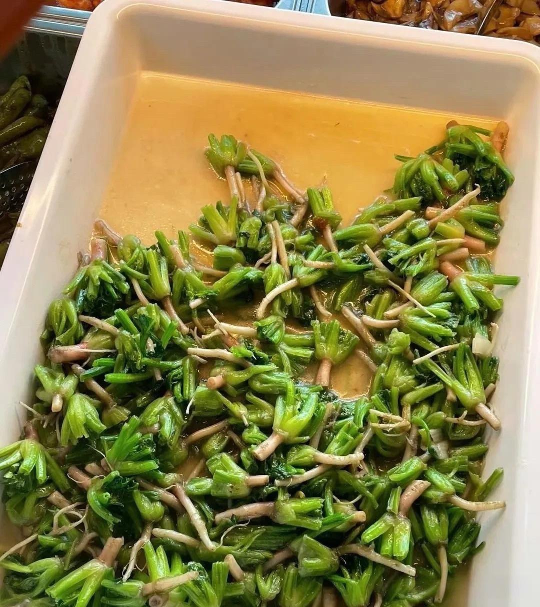 这是什么菜根啊