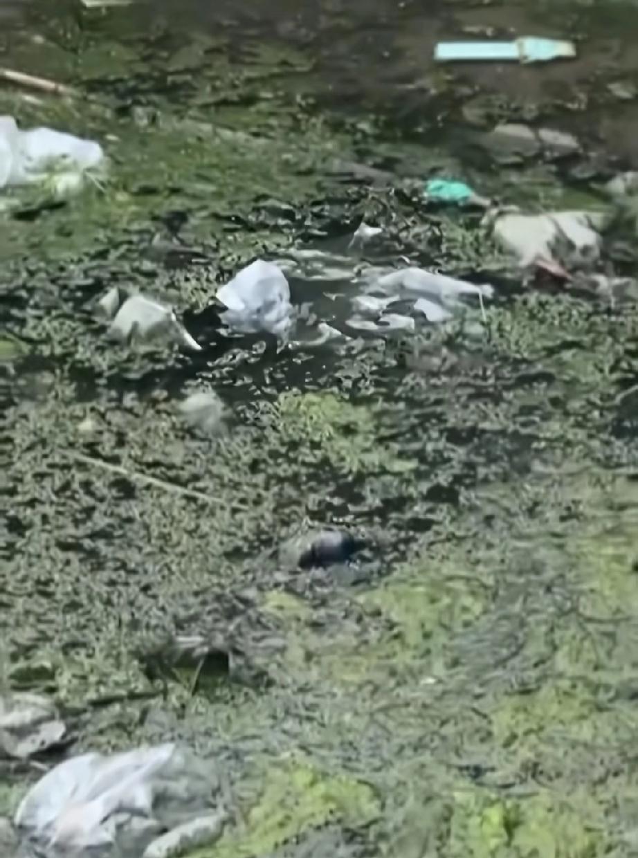 央视曝光江苏徐州一关键河道水质严重超标：满是污水，发黑发臭，羊皮作坊常年违法直排