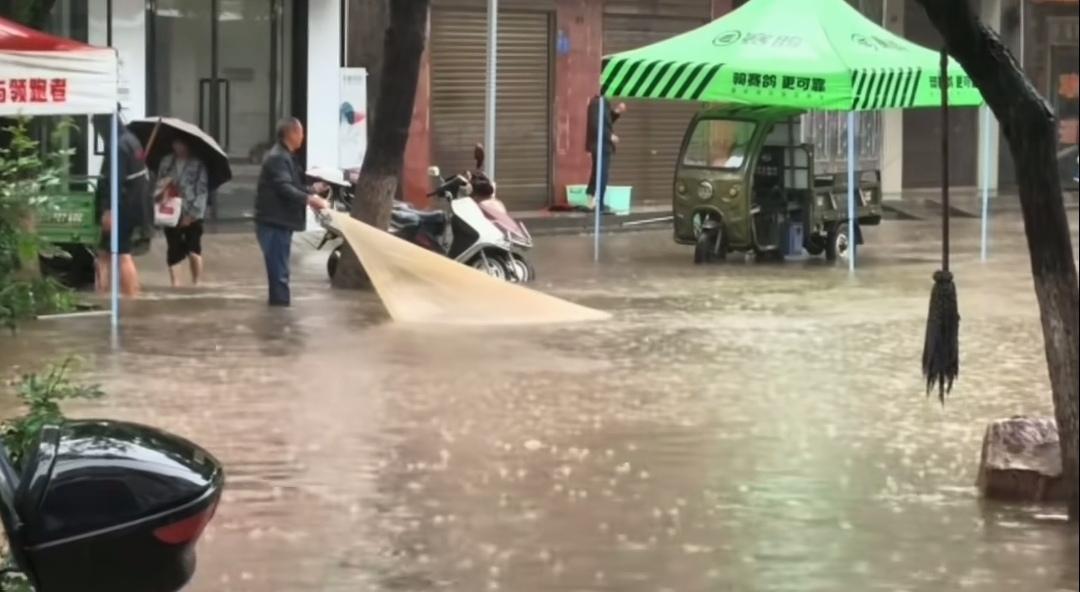 大雨过后，为啥街面上跟开了“鱼派对”似的，全是鱼呢？一场大雨像个调皮的巨人，把街