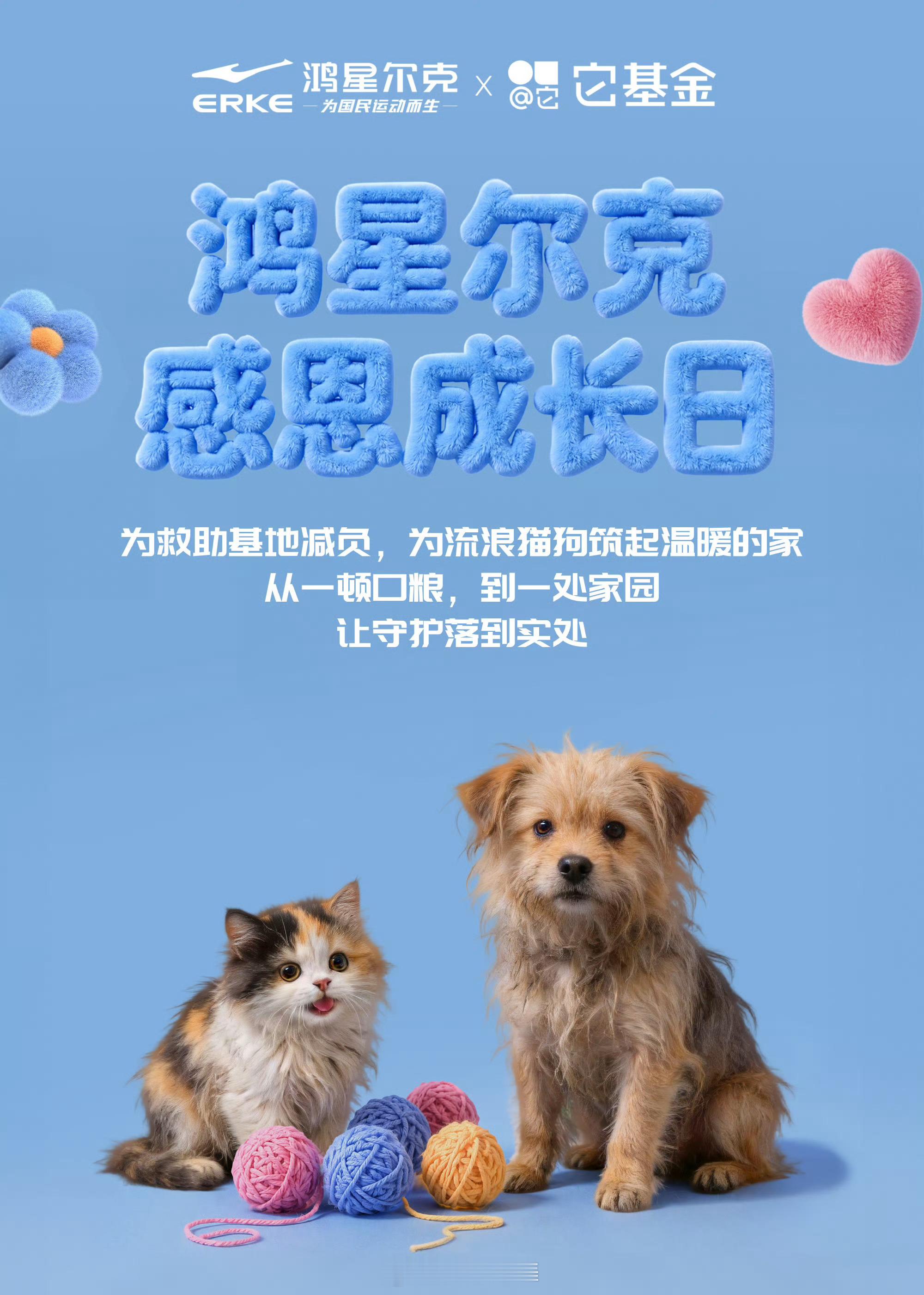 鸿星尔克官宣流浪猫狗守护计划看网坛选手带着爱犬奔赴各地赛场，赛场之外毛茸茸的陪