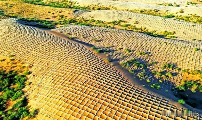 沙海变绿洲，外国媒体直呼可怕，中国到底怎么做到的？今天刷到一条新闻，说咱们国家