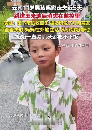 云南昭通，11岁男孩罗仁豪因没帮奶奶收豆子被批评后离家出走，跳进玉米地后消失。6