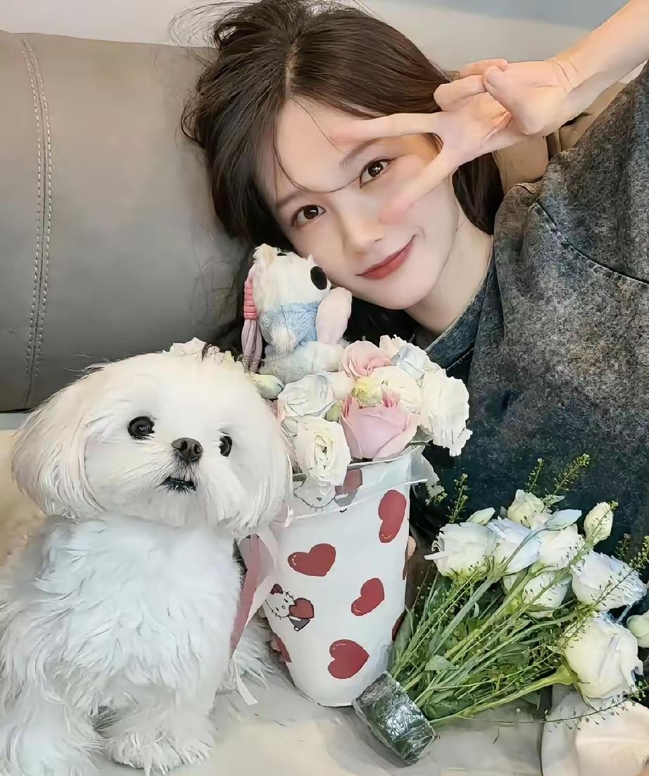 李一桐家的萌犬——肉肉，天生就是好“无辜”的表情，过于可爱、萌度严重超标