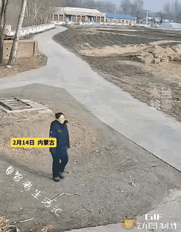 主人回来，毛孩子迎接主人，由于毛孩子太兴奋了，太激动了，结果导致用力过猛，自己也