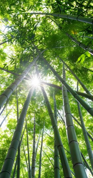 权力必须被关笼很多社会问题，表面看是腐败、失衡、效率低下，但往深处看，根源往往