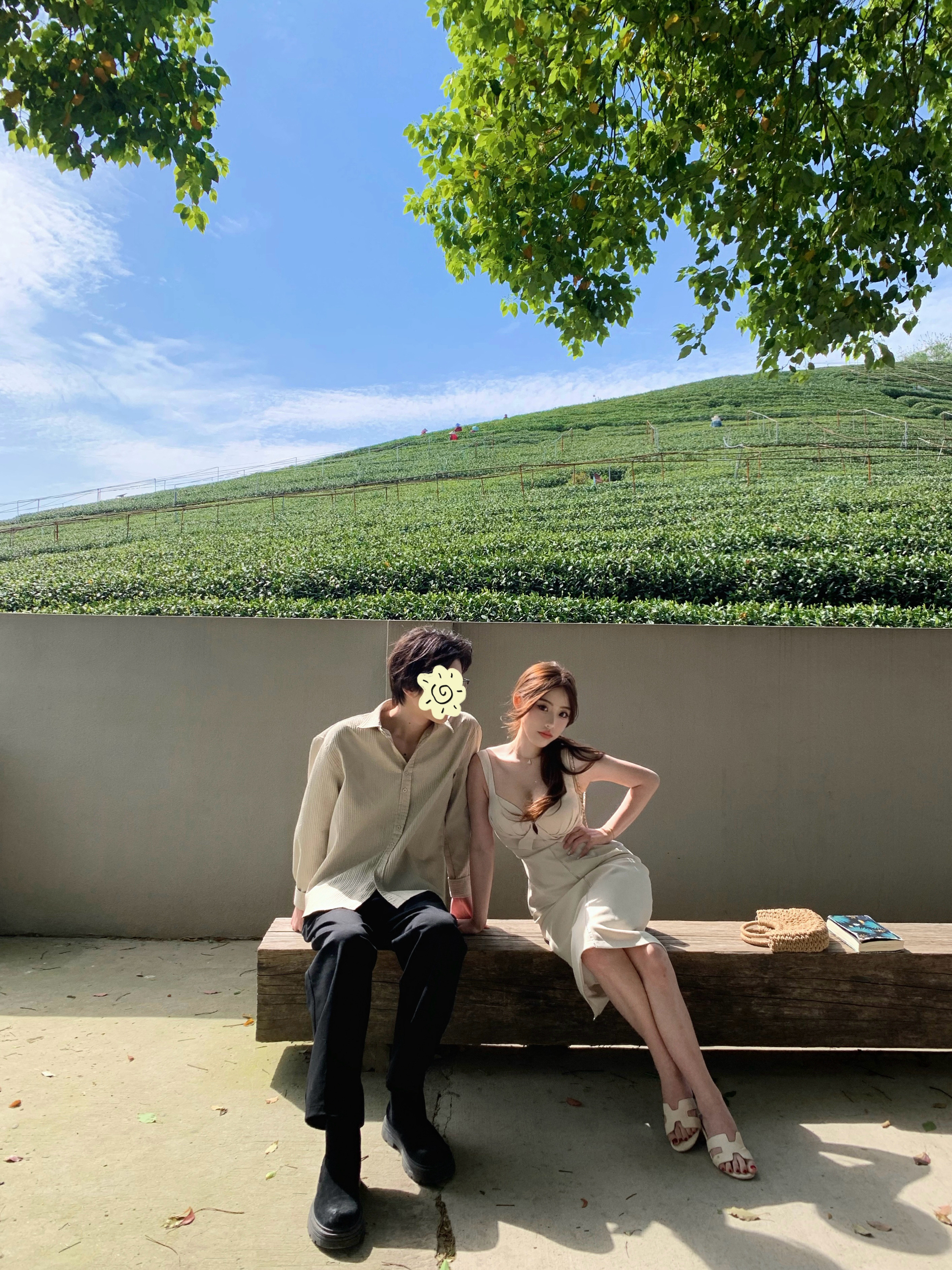 牙秘书为何这样