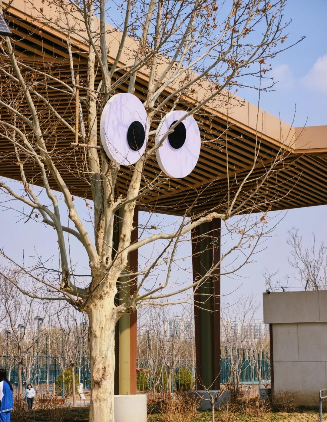 谁知道这个可爱的眼睛在哪啊求求了有趣的发现手机摄影奇怪的东西新奇的玩意儿