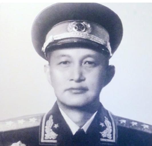 1977年叶剑英接见了回京的洪学智，闲聊时安慰道：你受了不少委屈“1977年