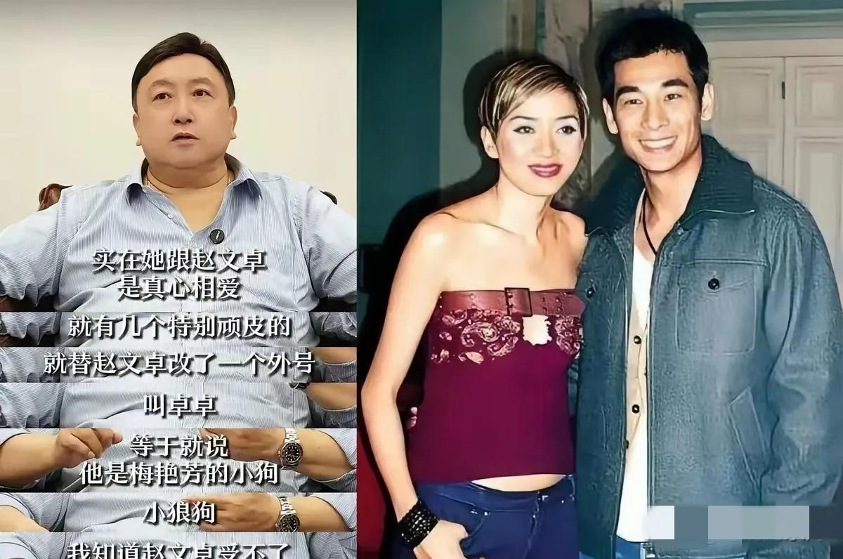 这根本是梅艳芳自己造成的。如果她真的爱重赵文卓，就会事先对朋友说明：他是我很重要