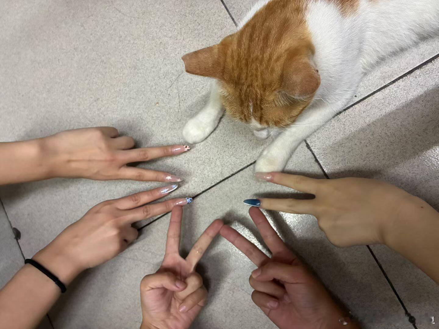 新型校园打卡景点​​​