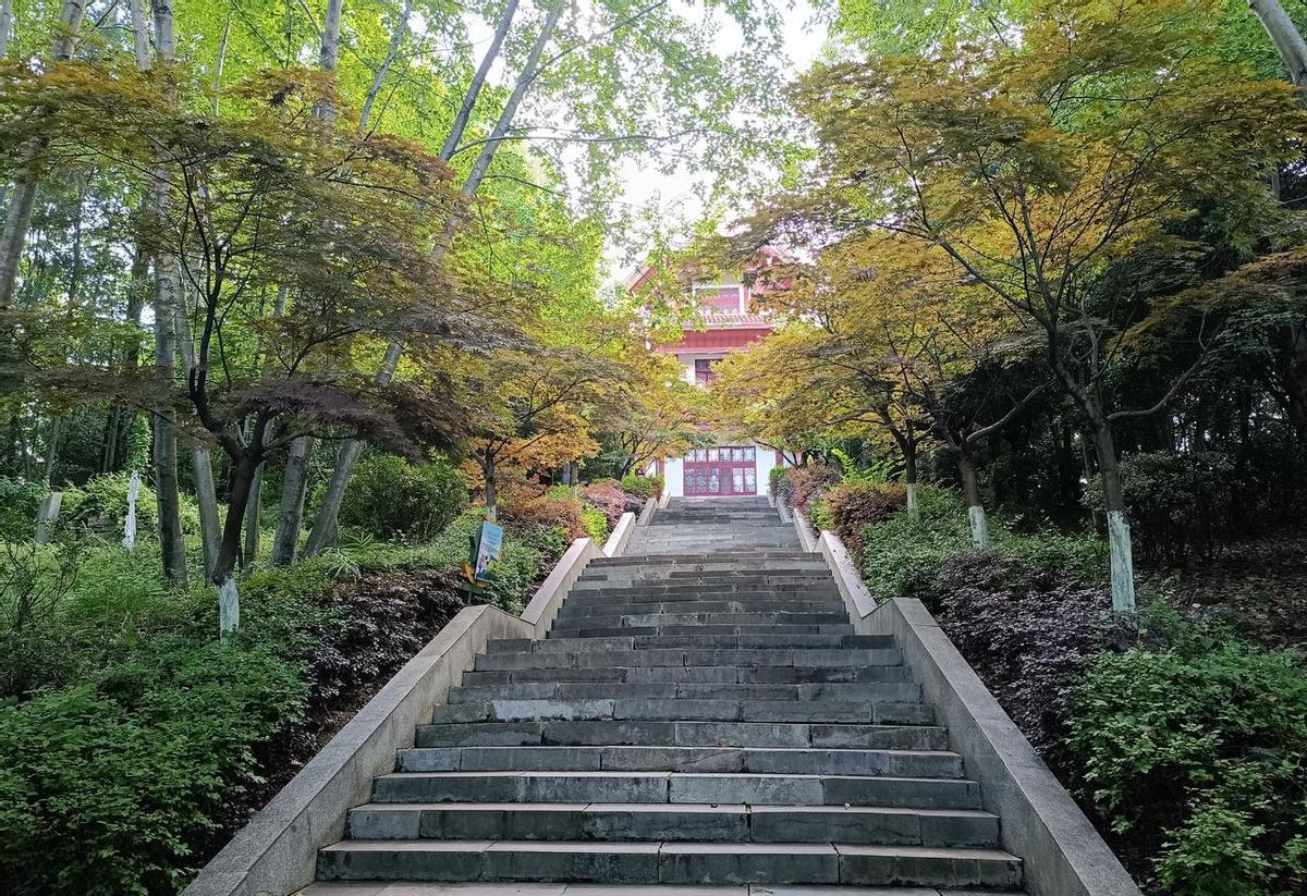 孩子秒睡的那一刻，78%的孕期摔倒已经埋下伏笔。你手臂一沉，身体重心立刻前移。