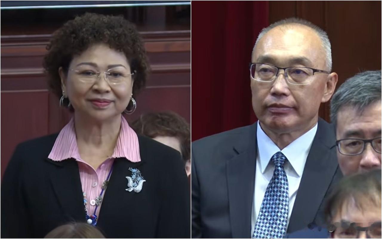 廖婉汝、谢政达被提名监委国民党声明：未推荐针对党员廖婉汝、谢政达被提名为“