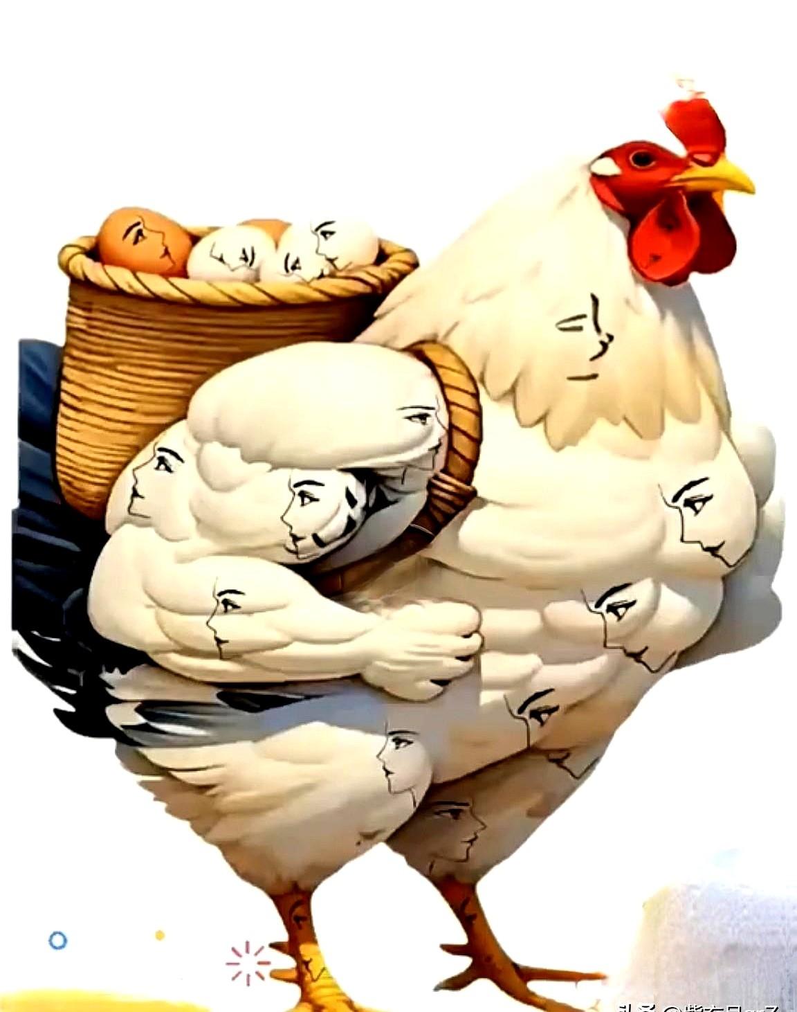 火爆的眼力测试题分享下图中是一只肌肉健壮的大公鸡，我那从不服老的老李，今天直接