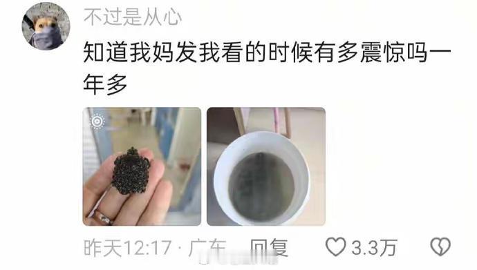 笑晕，父母能把动植物养的多离谱！哈哈哈哈