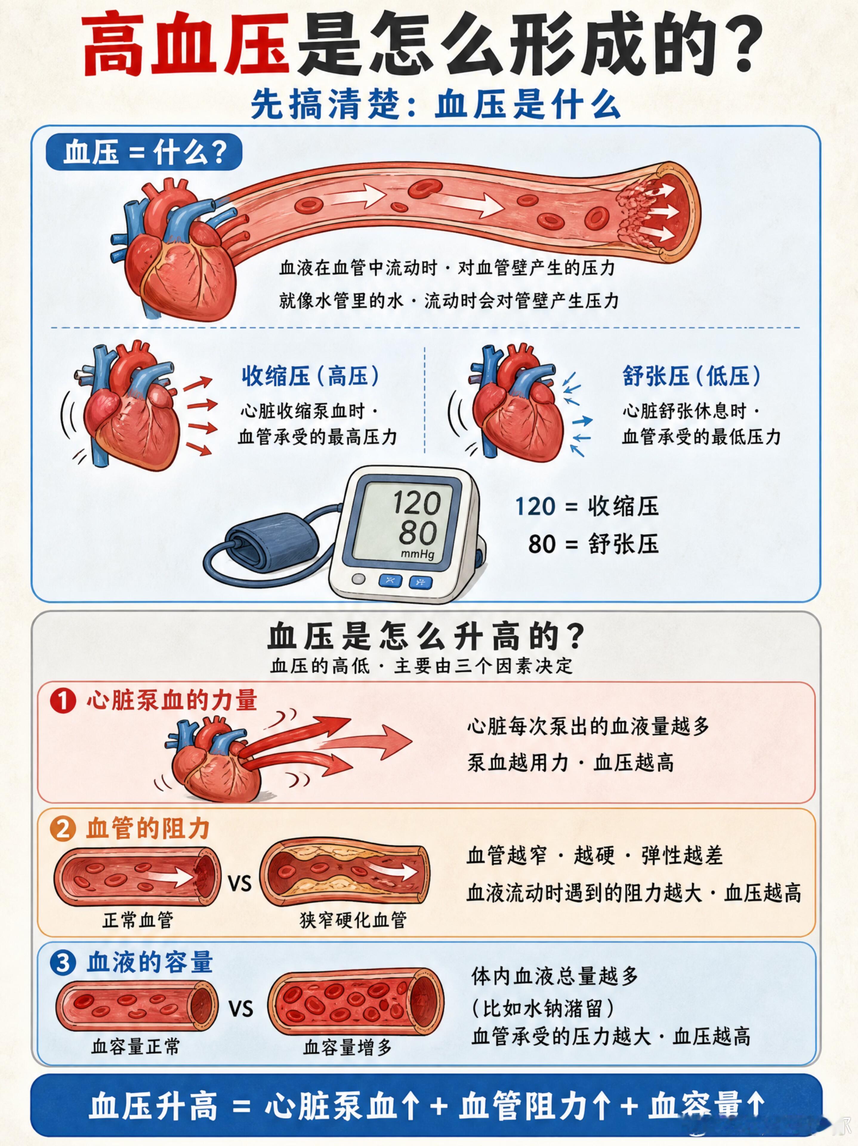 高血压是怎么形成的​​​