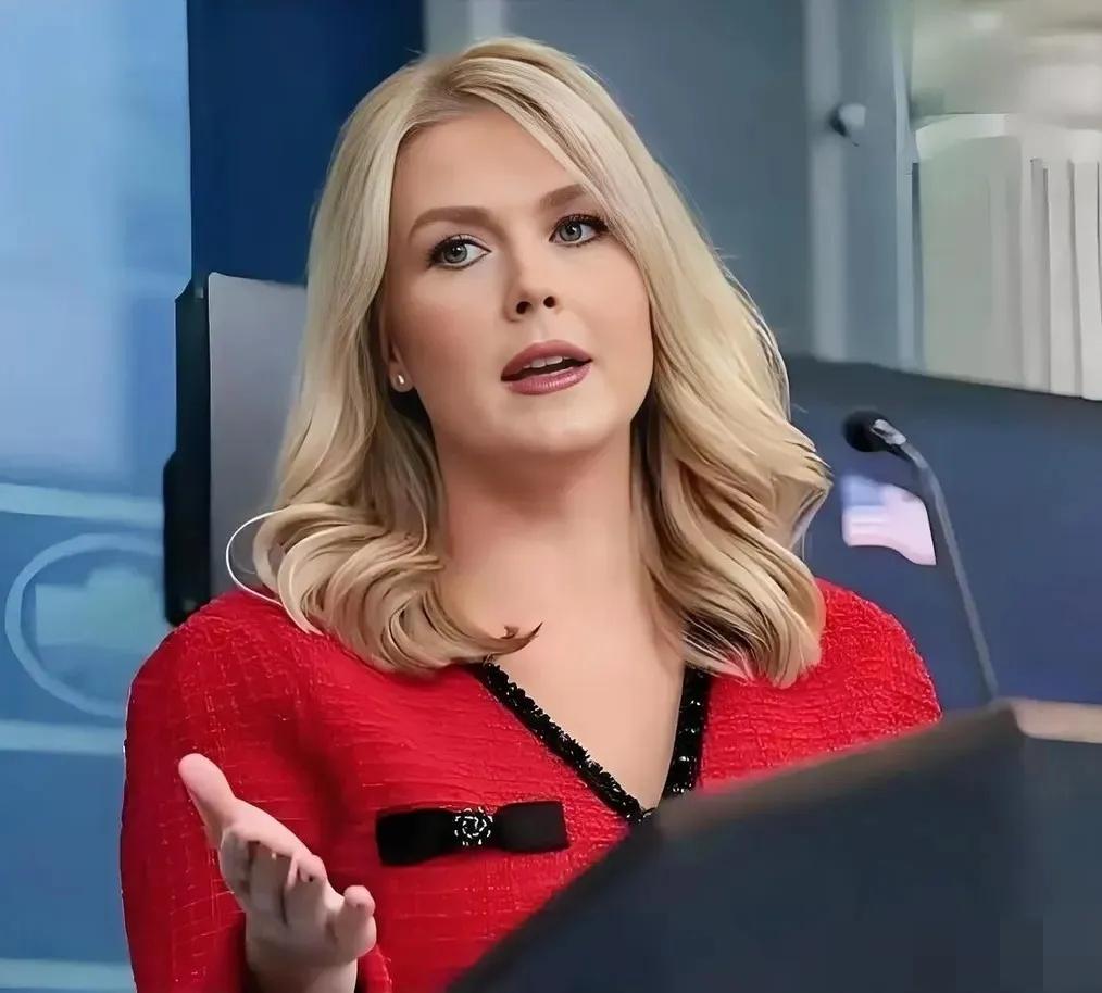 美国白宫传来消息4月20日，央视新闻报道，美国白宫正式宣布，副总统万斯率领的代