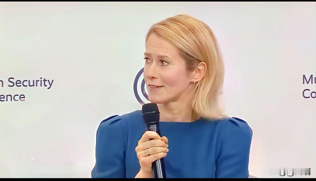 没有欧盟，美国玩不过中国。最近卡拉斯在会见美国贸易代表时称，与俄罗斯单打独斗不