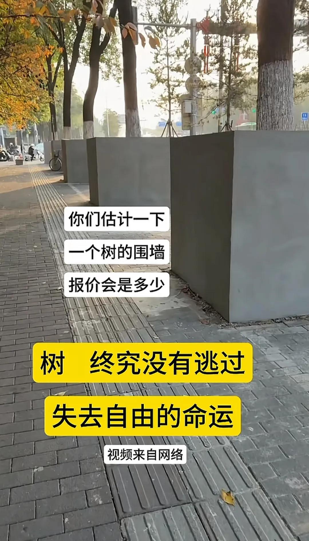能做出如此奇葩的事情，真搞不懂某些地方攻府官员，他们的思想到的是从什么方向考虑的