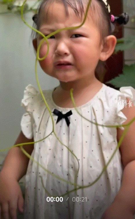 笑不活了，河南周口，一小女孩趁紧家长不注意时，偷偷吃奶奶院子里还没成熟的葡萄，虽