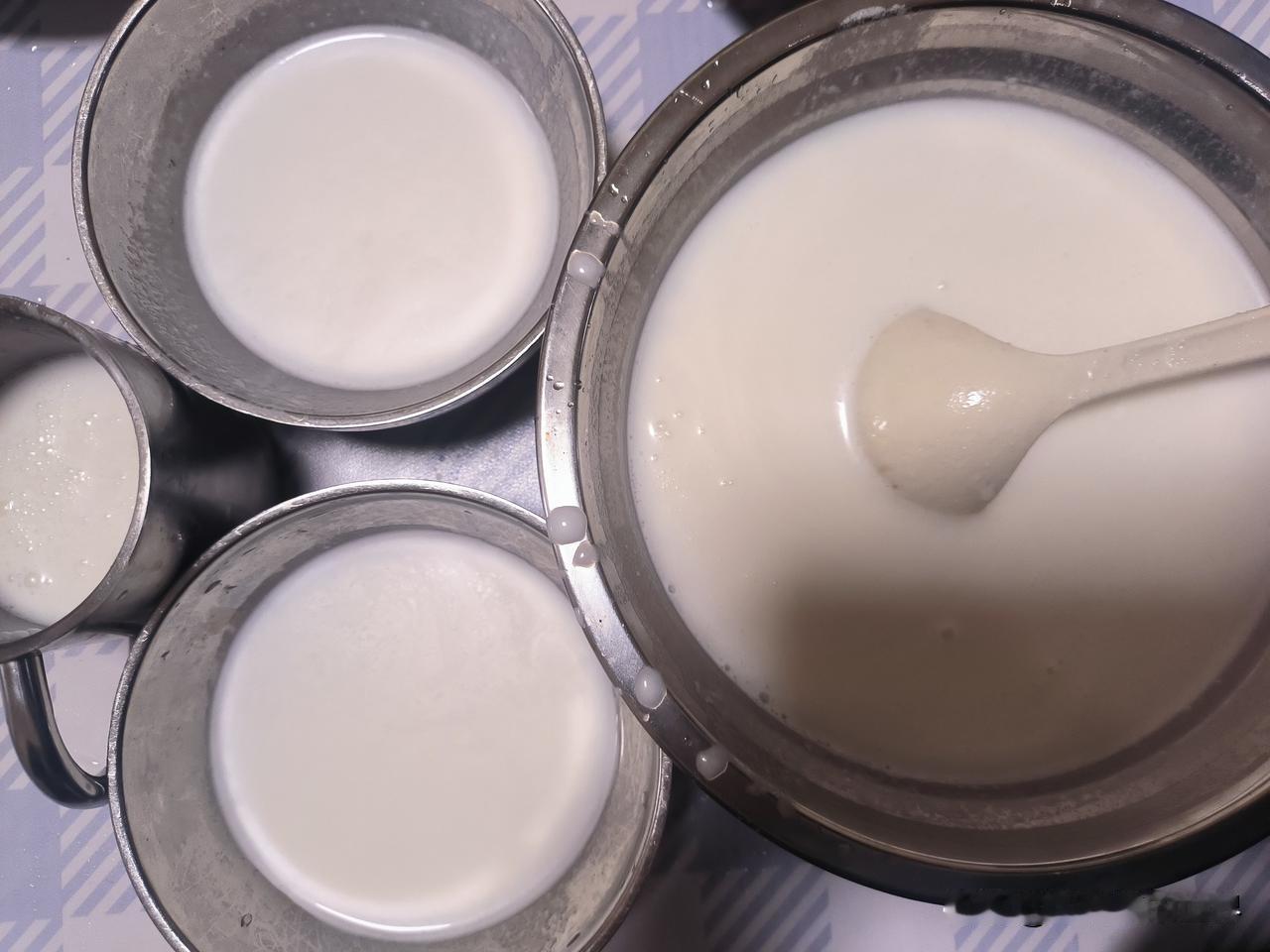 喝完椰子水，不要把椰肉丢了，可以自己打汁做成椰奶。买了1个椰子，没喝几口椰子水