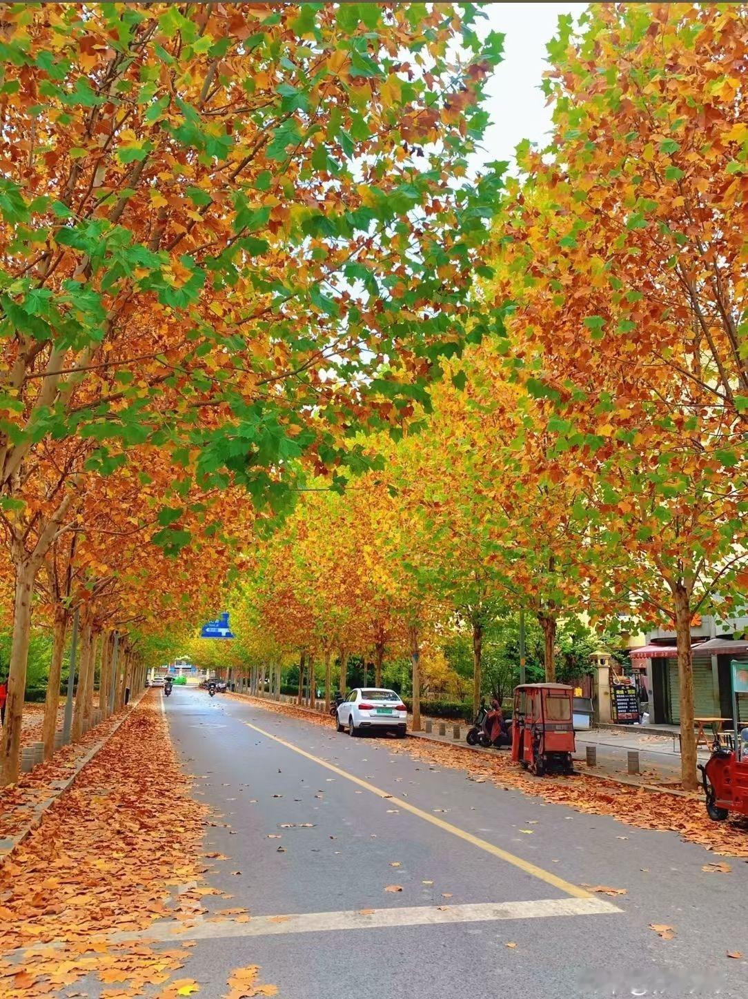 今天上午又去给我侄子开家长会去了，高二第一学期召开家长会。班主任老师讲了很