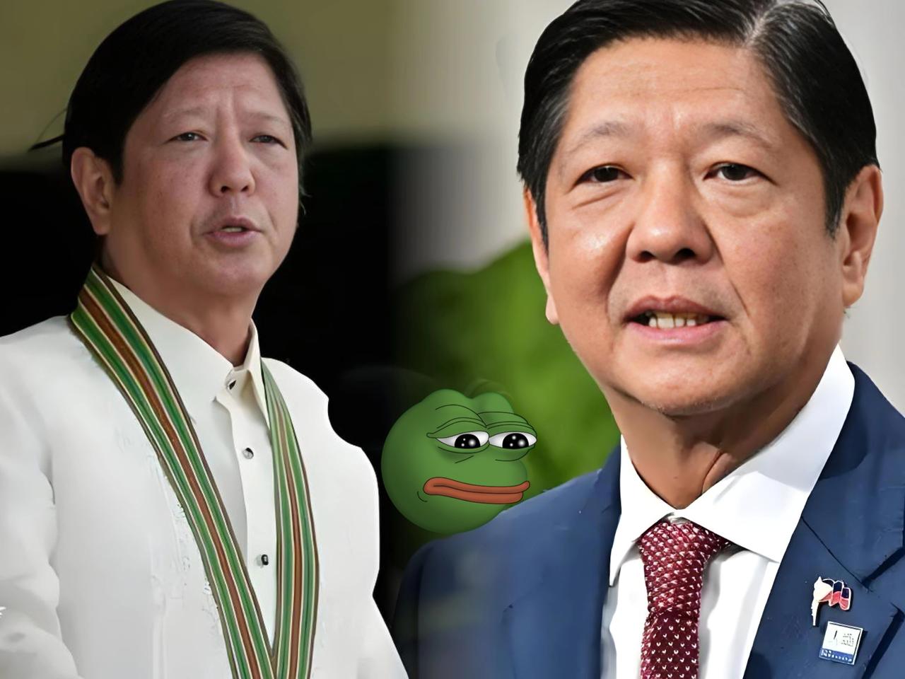 刚看到一则牵动人心的新闻：菲律宾近期遭遇双重台风重创，台风“海鸥”和“凤凰”接连