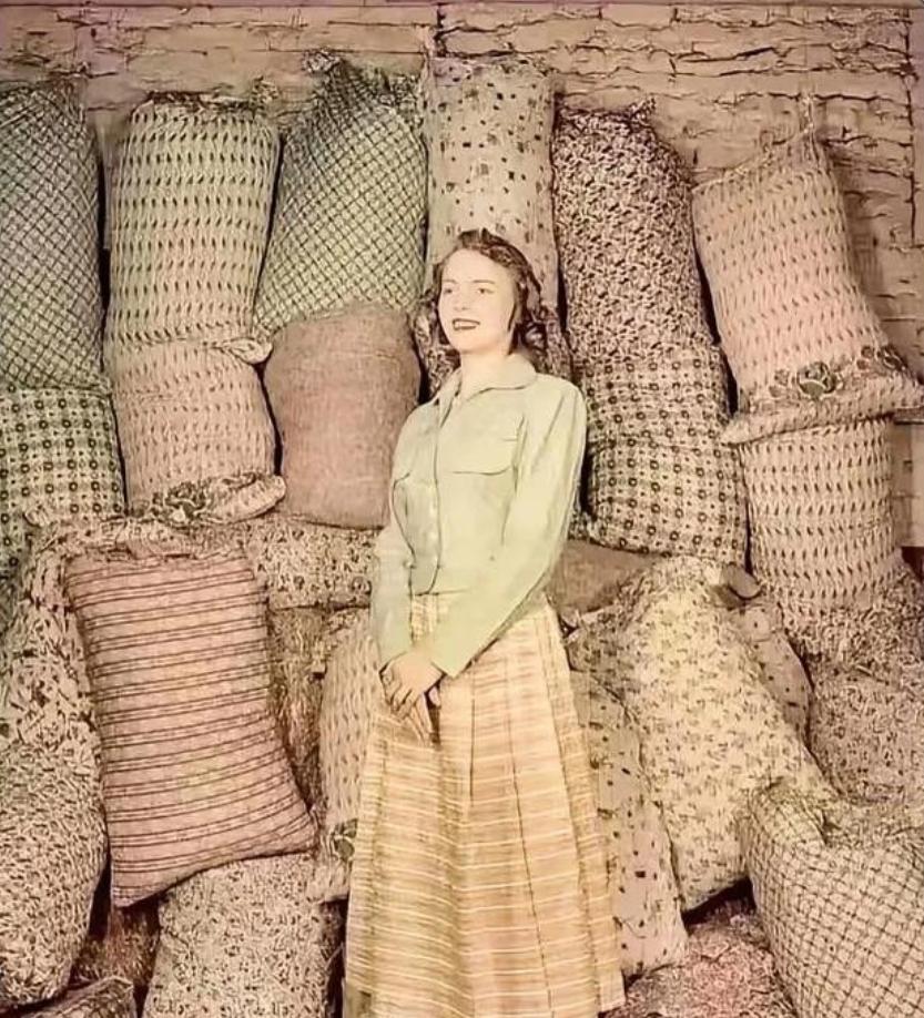 1933年美国经济大萧条的时代，有个面粉厂，故意把自己的面粉袋子上的logo