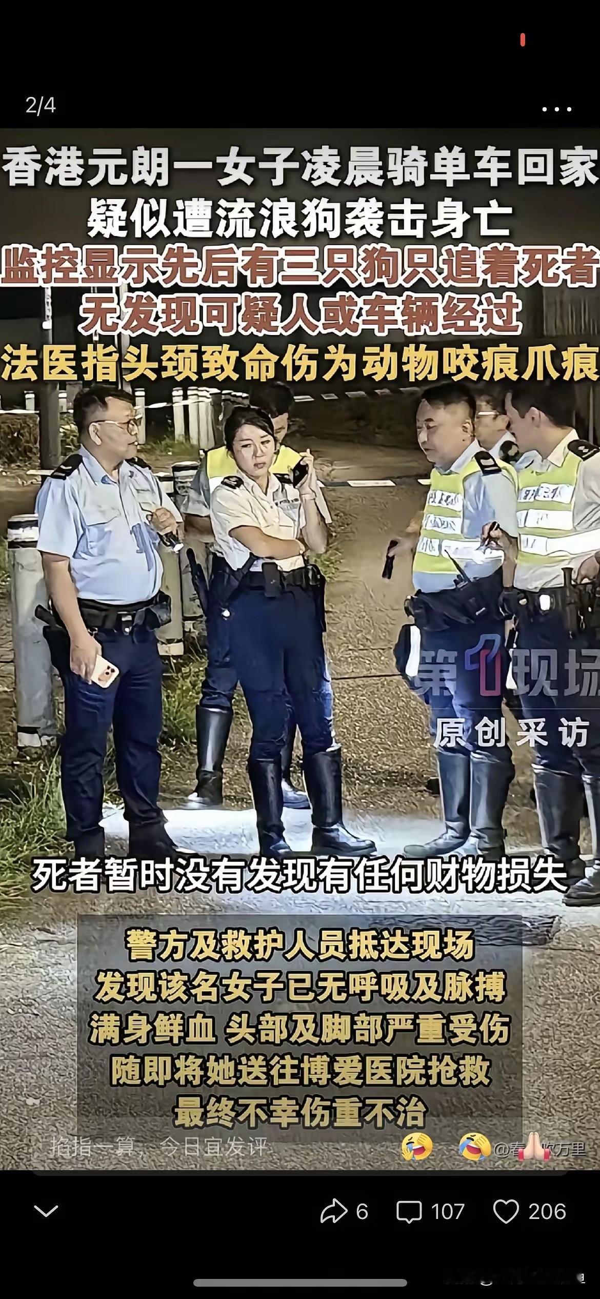 元朗女子深夜遭流浪犬袭击身亡，流浪犬治理难题再引热议香港元朗近日发生一起令