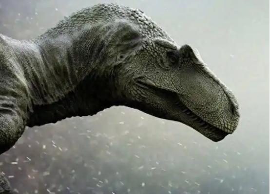 恐龙竟然没有灭绝？中科院院士徐星：“通过大量化石研究，我们可以斩钉截铁的说，恐龙