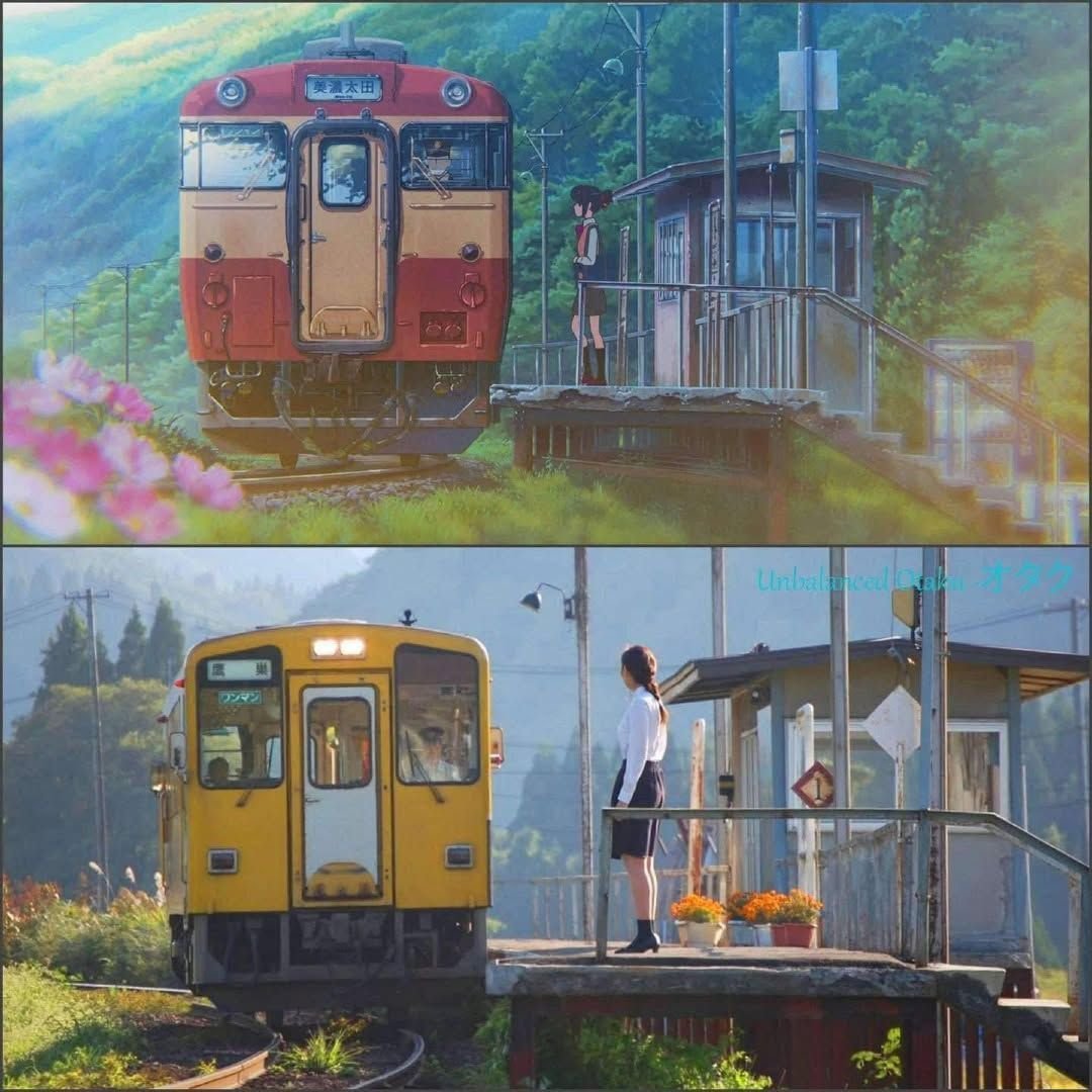 动画画面真实场景[玫瑰][玫瑰]​​​