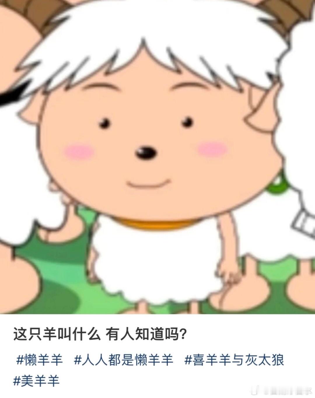 毛不易：你礼貌吗[微笑]​​​