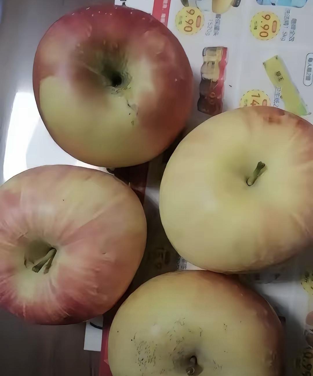 昨天跟我爸去扫太爷爷的墓，他摆完青团、水果、酒，蹲那儿掰开一个青团，掰一半塞我手