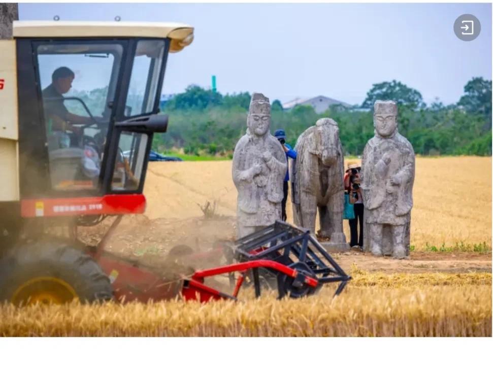 真的没想到，稀土竟然是我们的“杀手锏”，让有些人真真切切尝到了被卡脖子的滋味。来