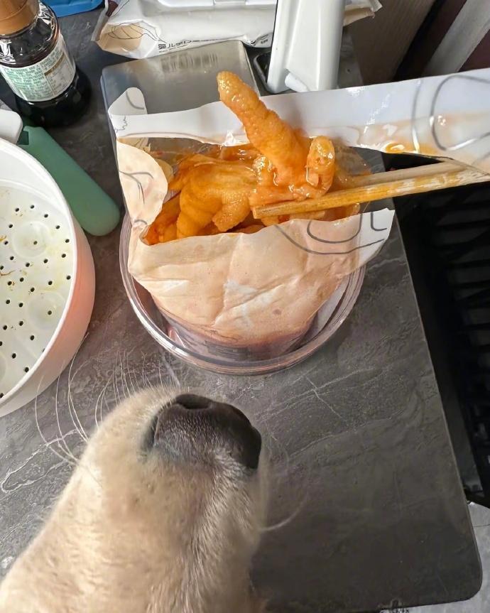 当养狗人开始记录美食