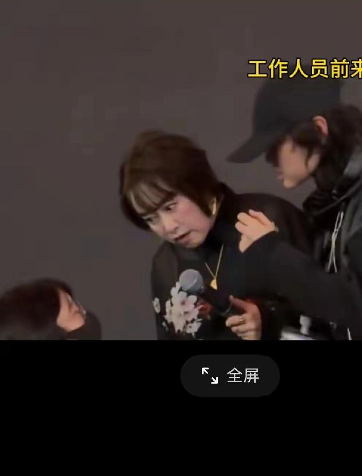 前脚日本女歌手大真希上海嘉年华唱到一半被叫停，后脚原定29日在上海东方体育中心举