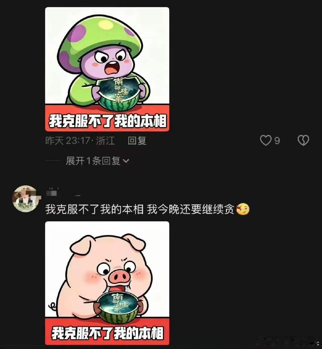 南部档案爆梗南部档案我克服不了我的本相玛雅哈哈哈哈