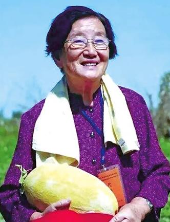 1984年，有领导到新疆鄯善视察，研究所盛情邀请大家品尝新品种瓜，一名女研究员千