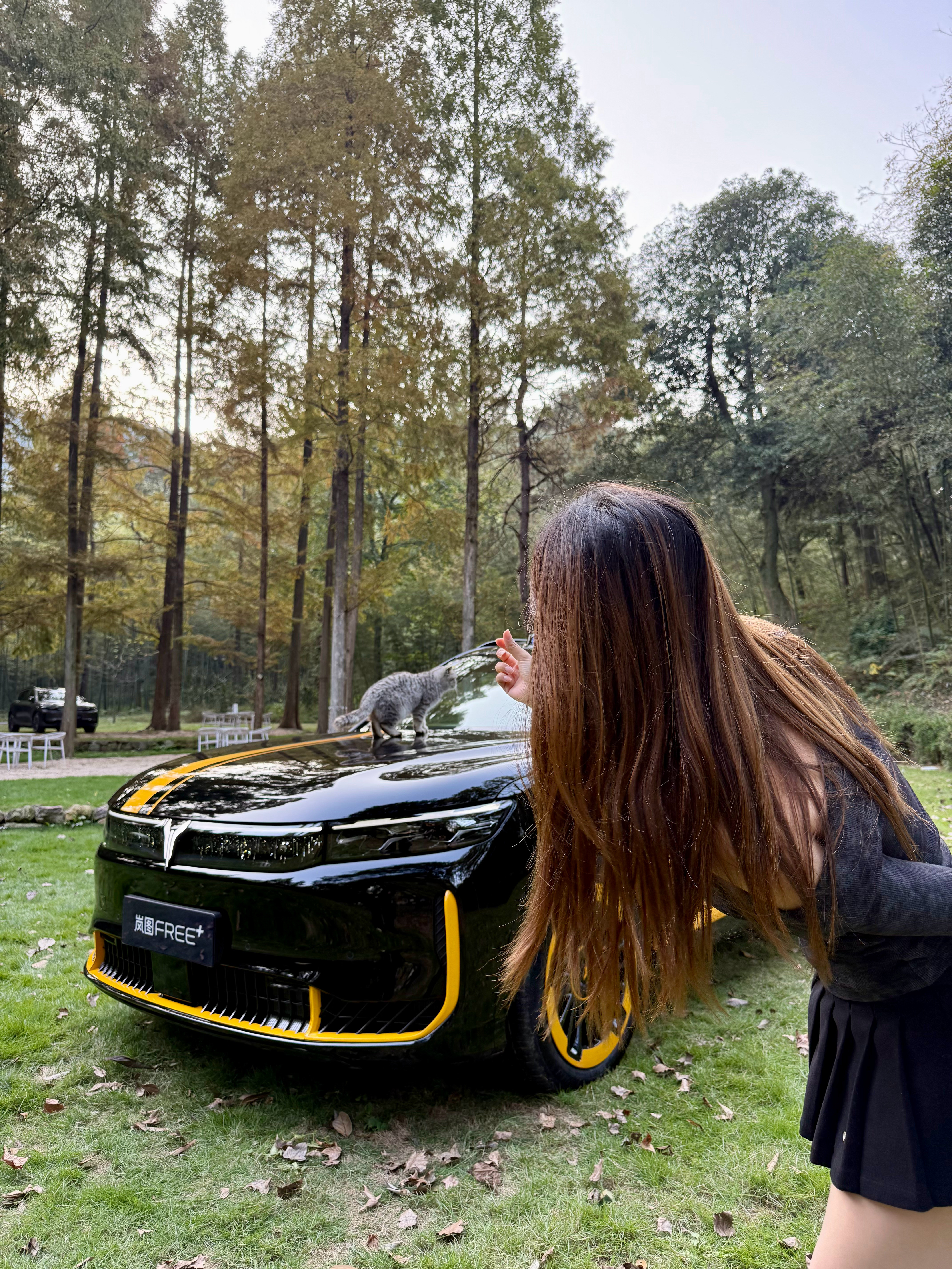 拍摄遇到一只超级乖的小猫咪，随便抱太可爱了