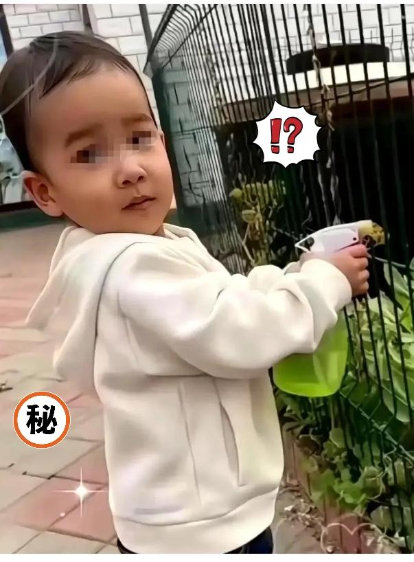 姓氏与亲情的抉择，舅舅陷入两难！金家那边终于递话了，就为小洲洲改姓的事。话