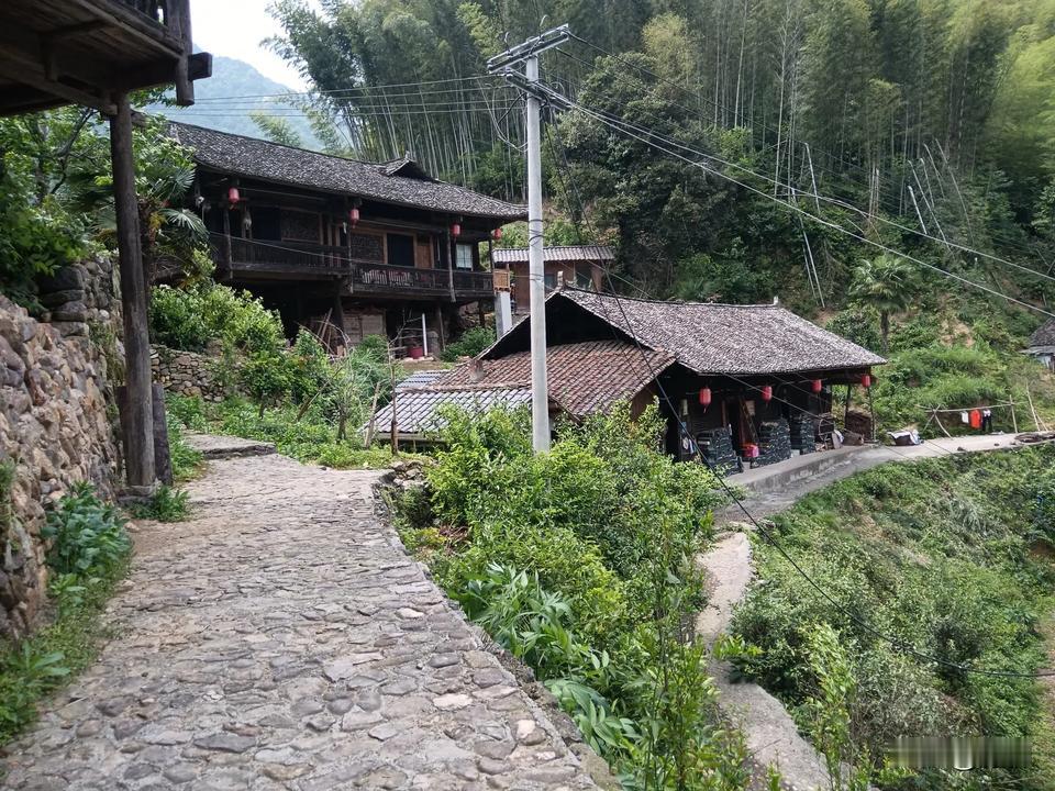 古朴村落，石板小路，绿意盎然，岁月静好