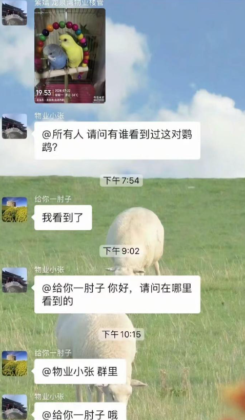 小区群里的这些对话也太搞笑了!​​​